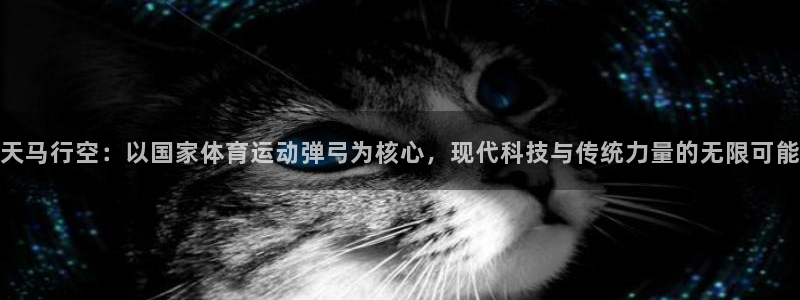 qq体育直播app：天马行空：以国家体育运动弹弓为核心，现代科技与传统力量的无限可能