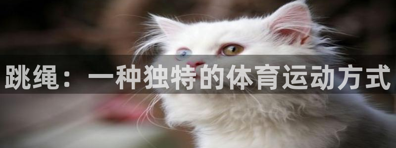 qq体育视频：跳绳：一种独特的体育运动方式